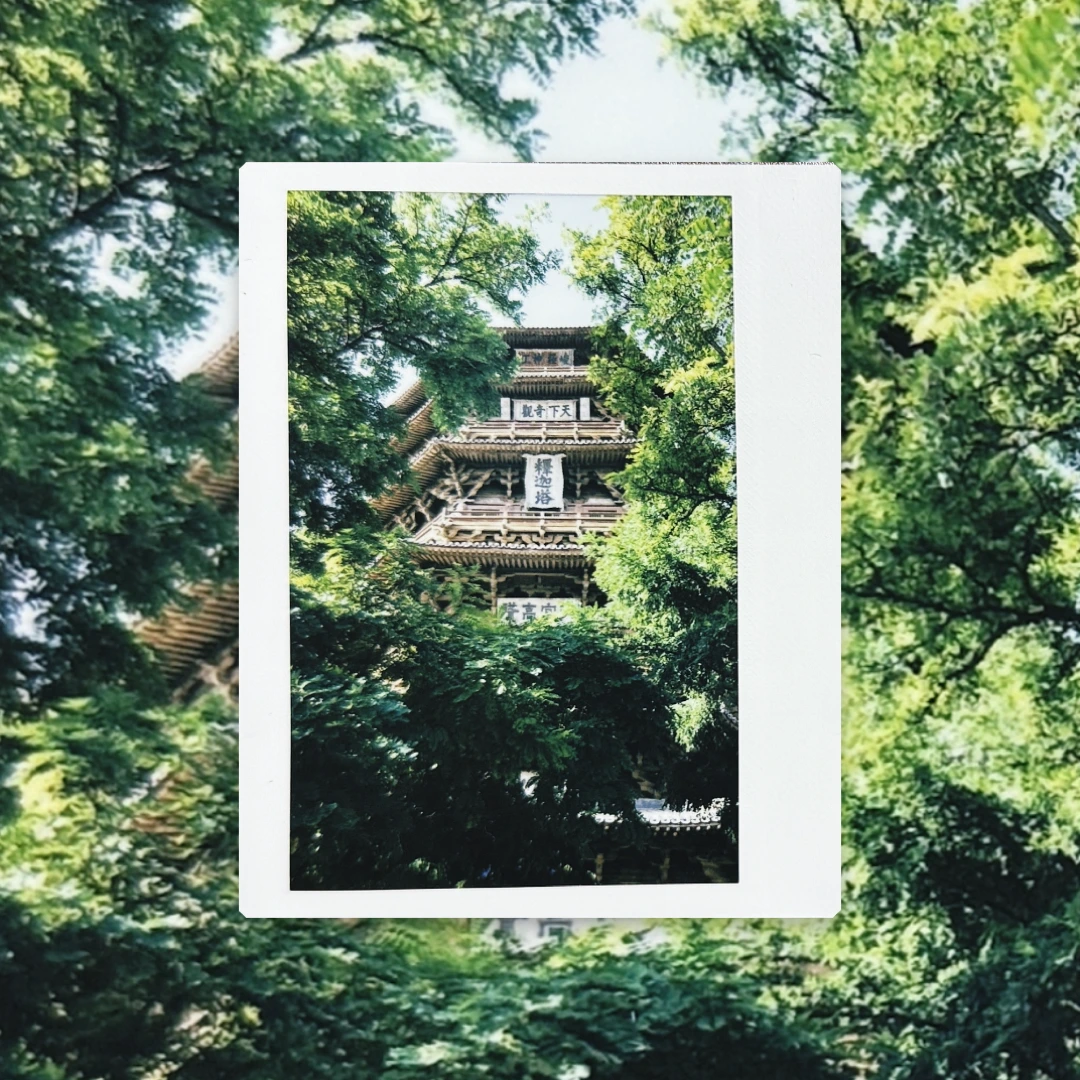 拍立得
