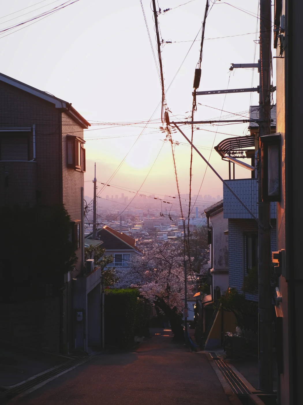 日本